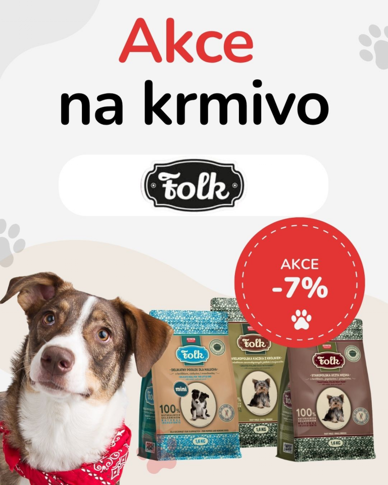 OFERTA SPECJALNA Sierpień Folk