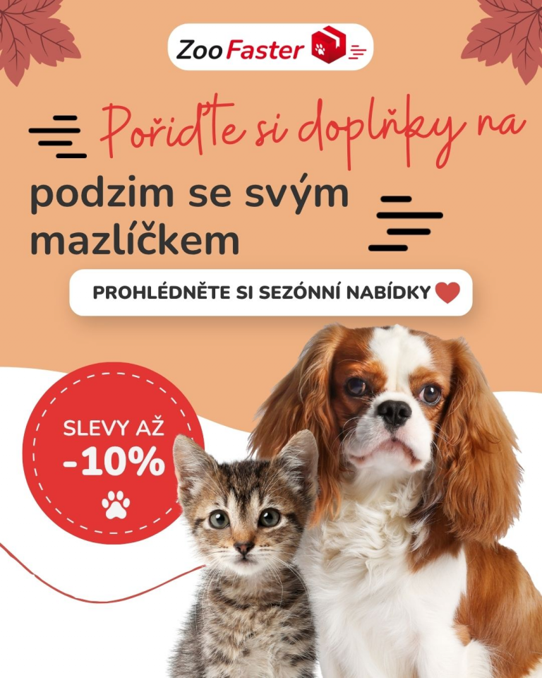 [OFERTA SPECJALNA] Październik - Akcesoria na jesień 