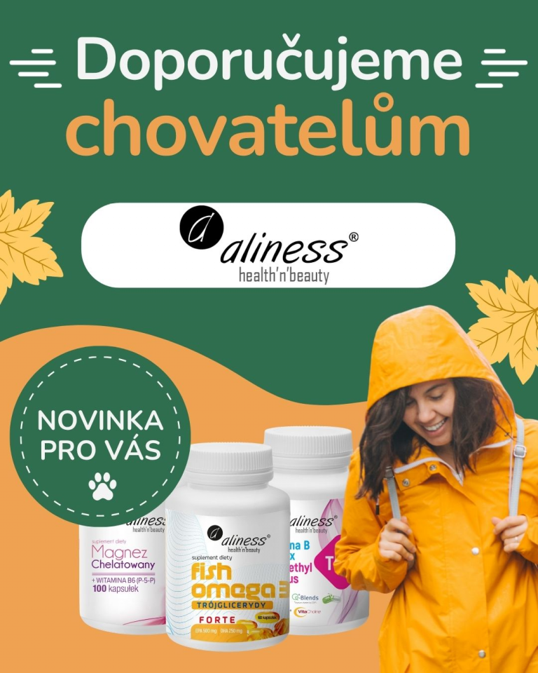 [OFERTA SPECLAJNA] Wrzesień Aliness