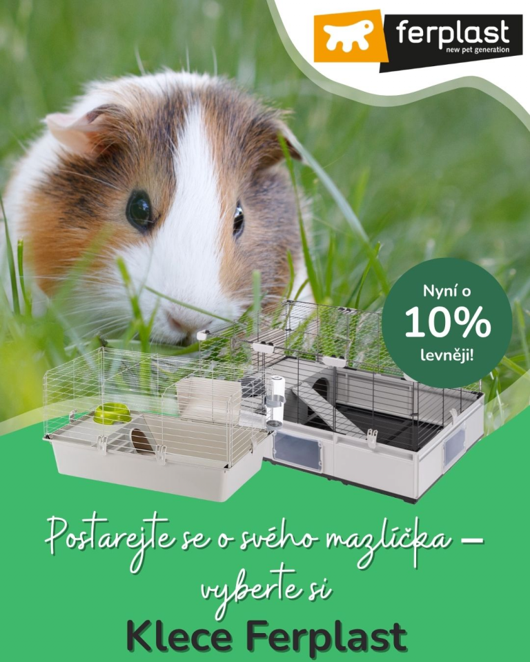 [OFERTA SPECJALNA] Lipiec Ferplast