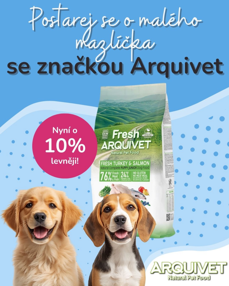 [OFERTA SPECJALNA] Czerwiec - Arquivet