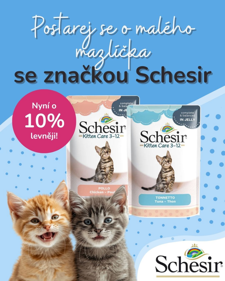[OFERTA SPECJALNA] Czerwiec - Schesir