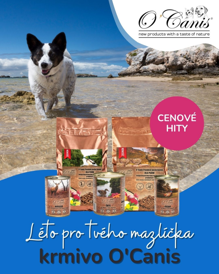 [OFERTA SPECJALNA] Lipiec
