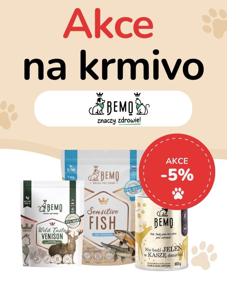[OFERTA SPECJALNA] Październik - Bemo