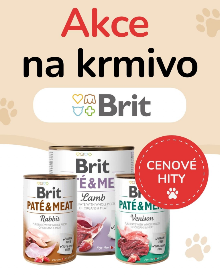 [OFERTA SPECJALNA] Październik - Brit
