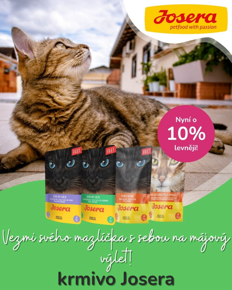 [OFERTA SPECJALNA] Majówka