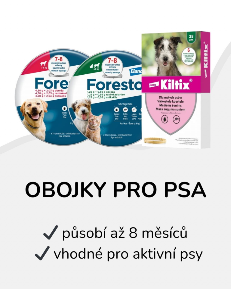 obojky pro psa