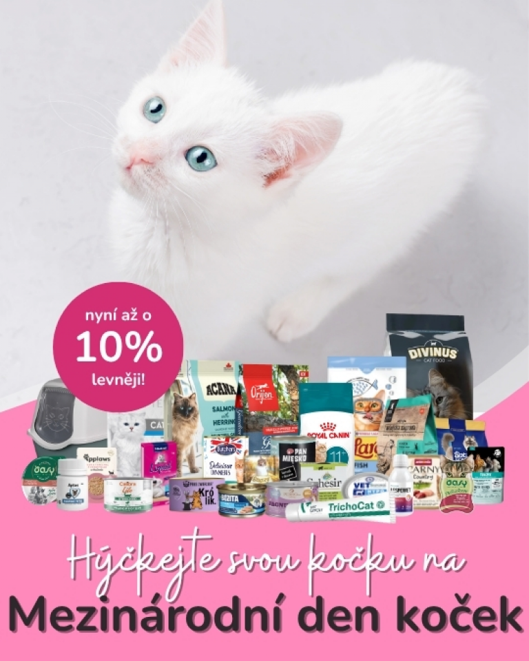 [OFERTA SPECJALNA] Lipiec - Dzień kota