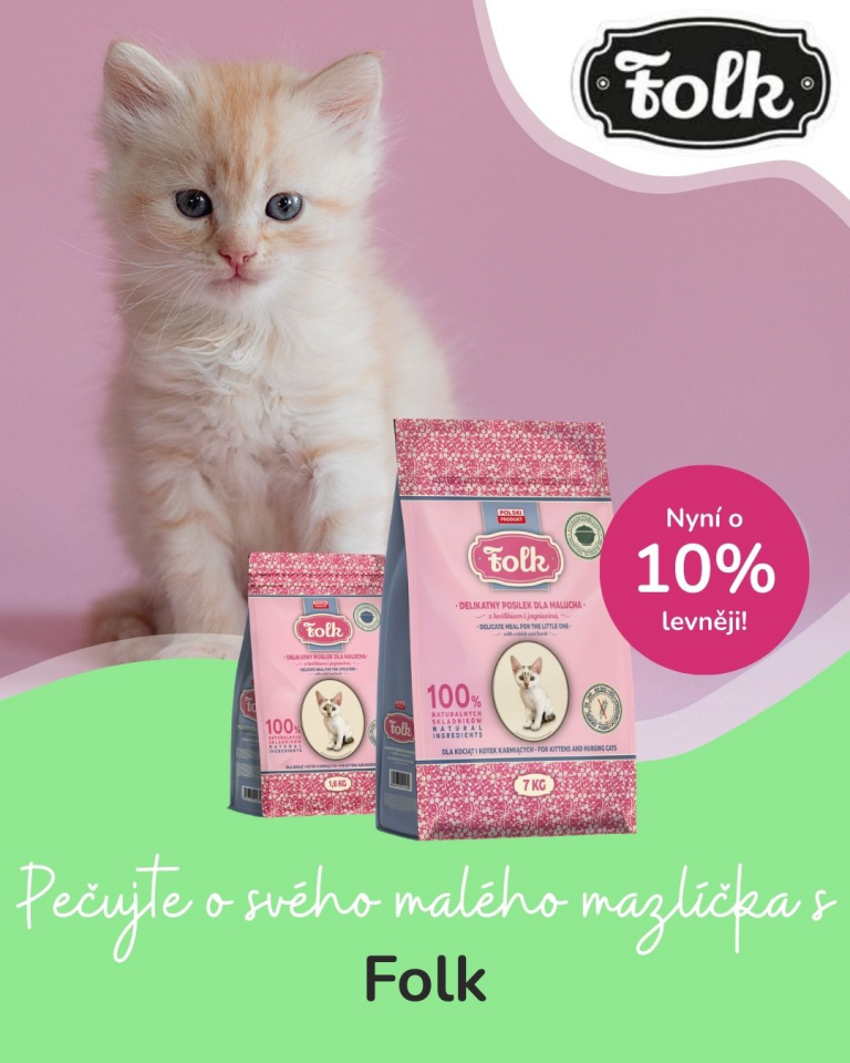 [Oferta specjalna] Szczenięta i kocięta Folk