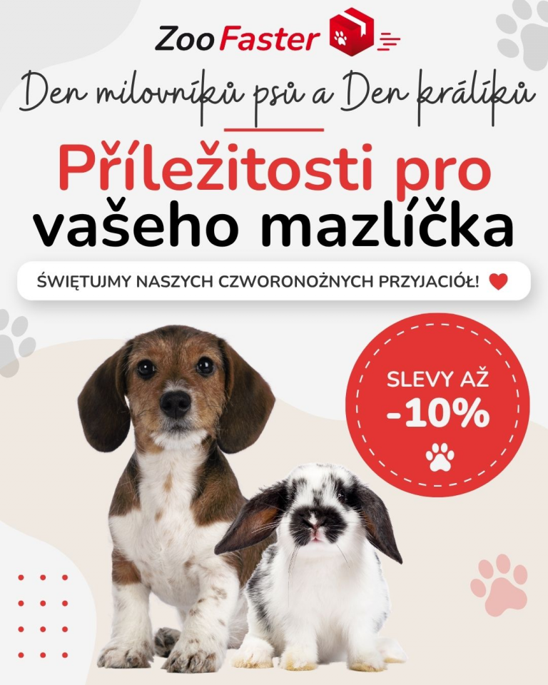 [OFERTA SPECJALNA] Wrzesień - Światowy dzień miłośników psów i dzień królika