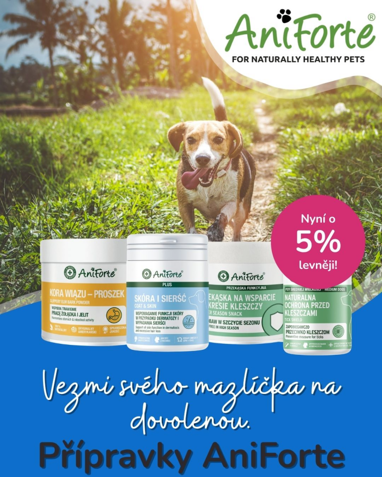 [OFERTA SPECJALNA] Czerwiec - AniForte