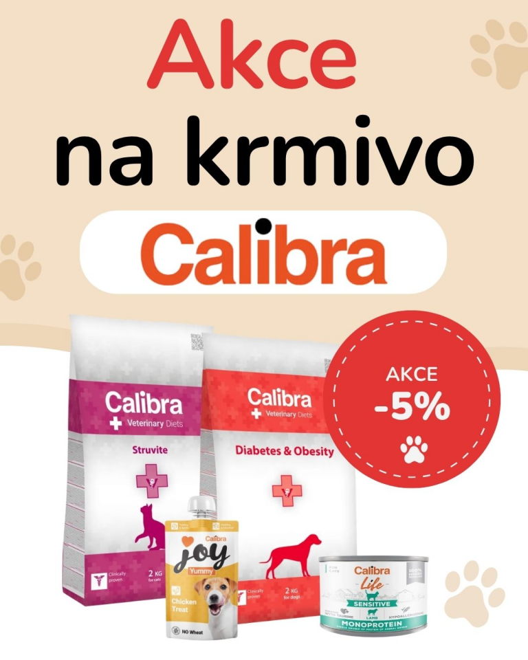 [OFERTA SPECJALNA] Październik - Calibra