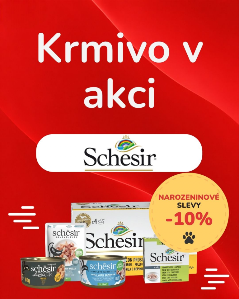 OFERTA SPECJALNA - Sierpień Schesir
