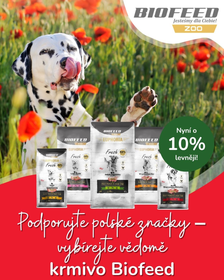 [OFERTA SPECJALNA] Maj Polskie marki