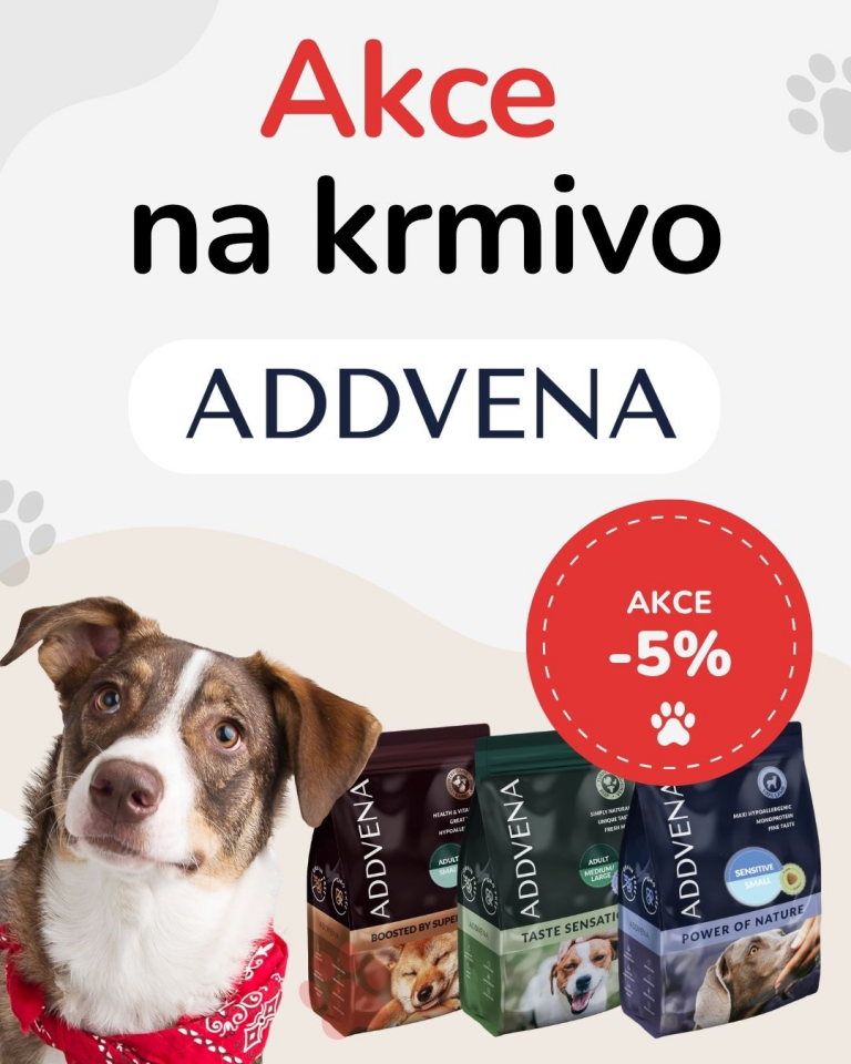 OFERTA SPECJALNA Sierpień Addvena