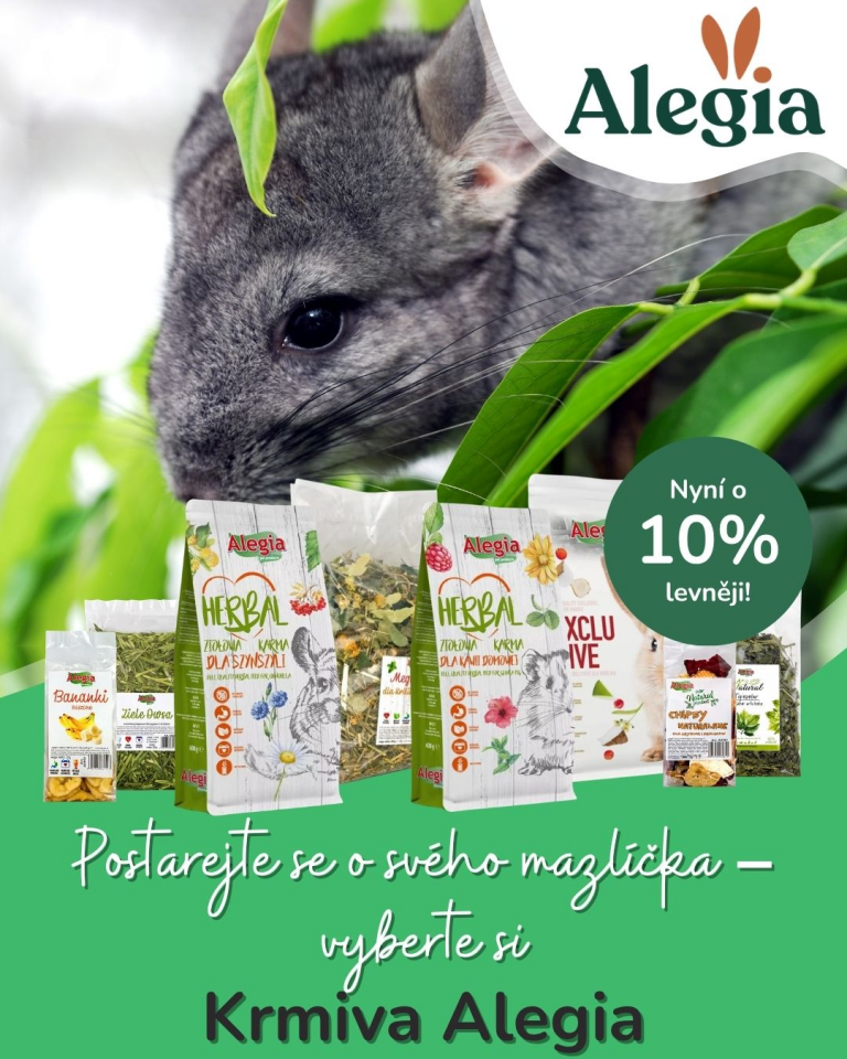 [OFERTA SPECJALNA] Lipiec Alegia