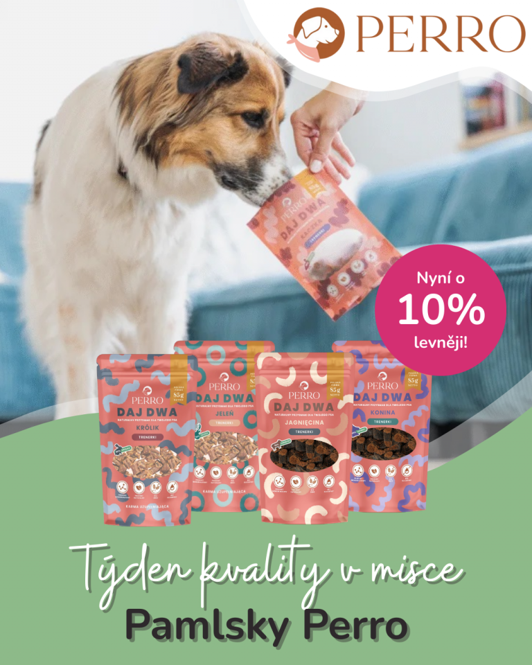 [OFERTA SPECJALNA] Luty Perro