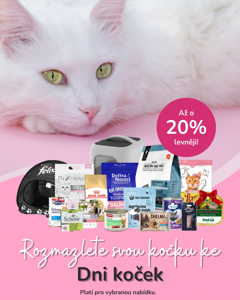 [OFERTA SPECJALNA] Dzień kota