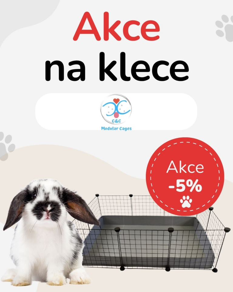 [OFERTA SPECJALNA] Wrzesień - C&C