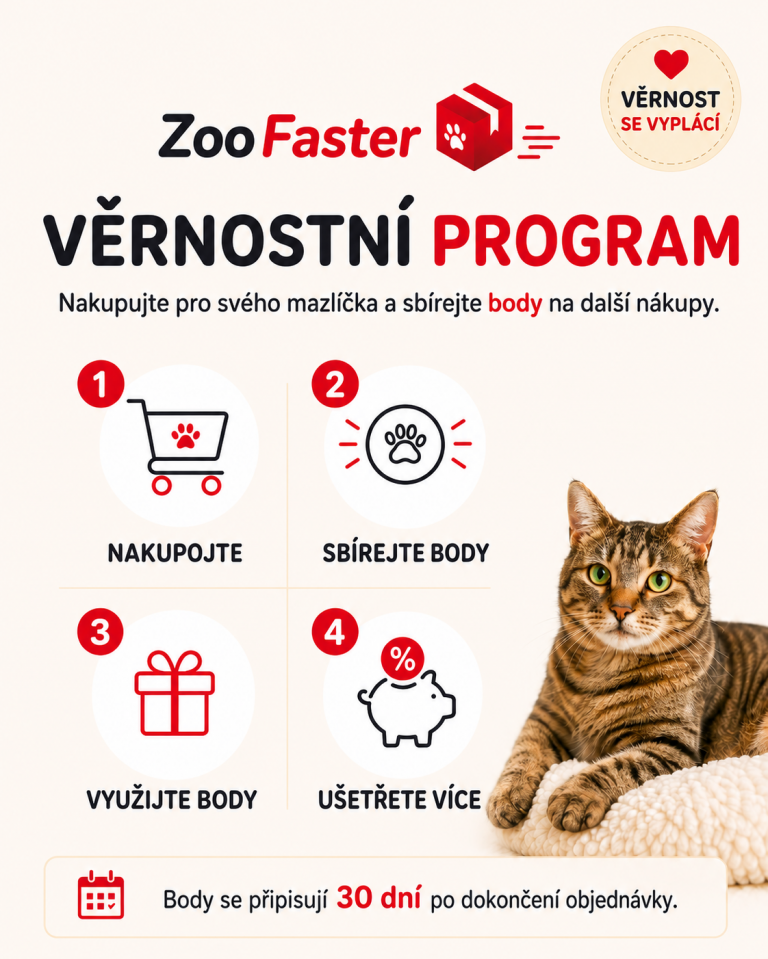 Věrnostní program