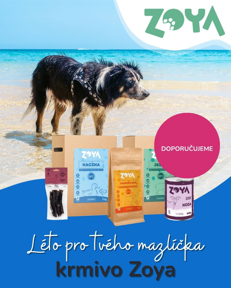 [OFERTA SPECJALNA] Lipiec