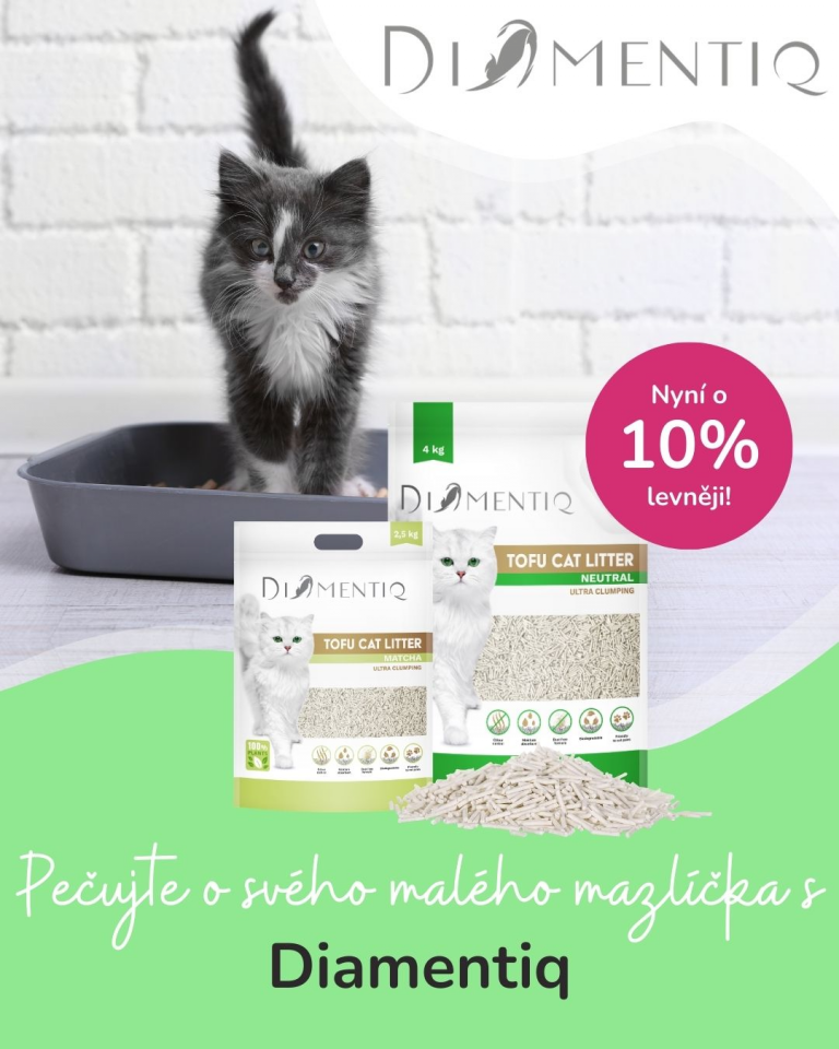 [Oferta specjalna] Szczenięta i kocięta Diamentiq