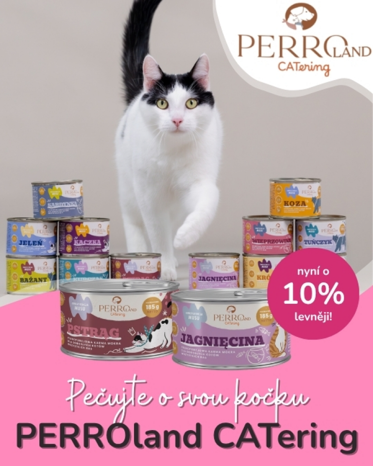 [OFERTA SPECJALNA] Lipiec - Perro