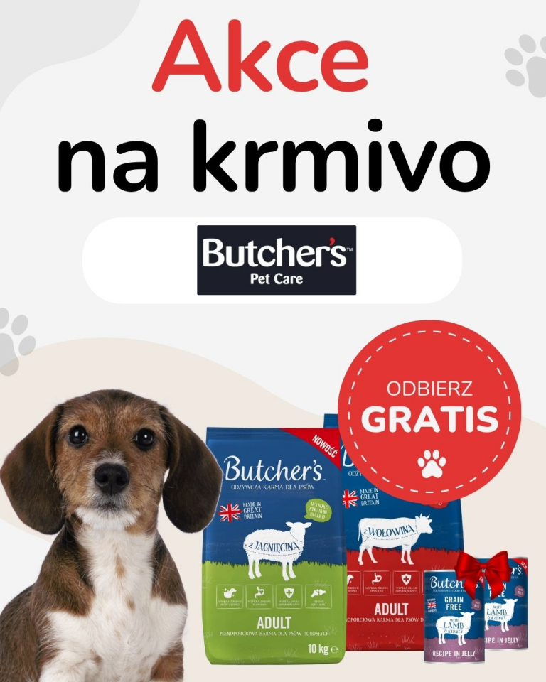 [OFERTA SPECJALNA] Wrzesień - Butcher's