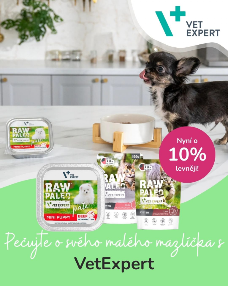 [Oferta specjalna] Szczenięta i kocięta VetExpert