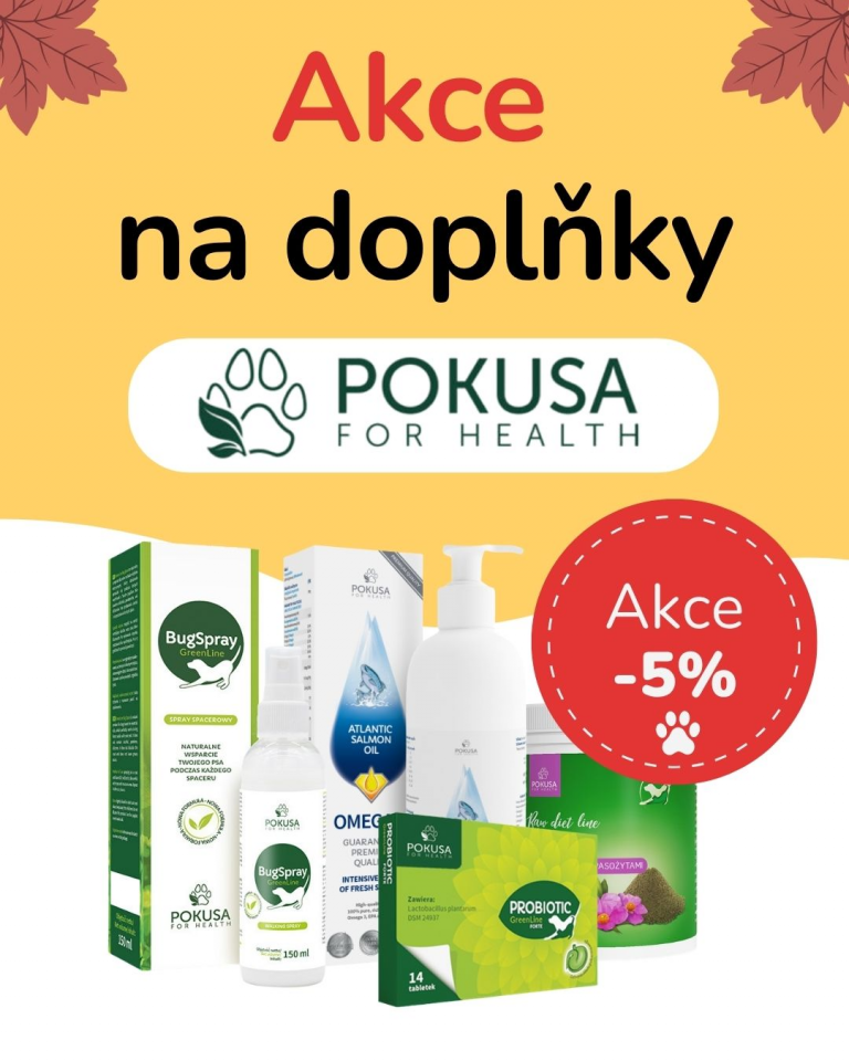 [OFERTA SPECJALNA] Wrzesień - Pokusa