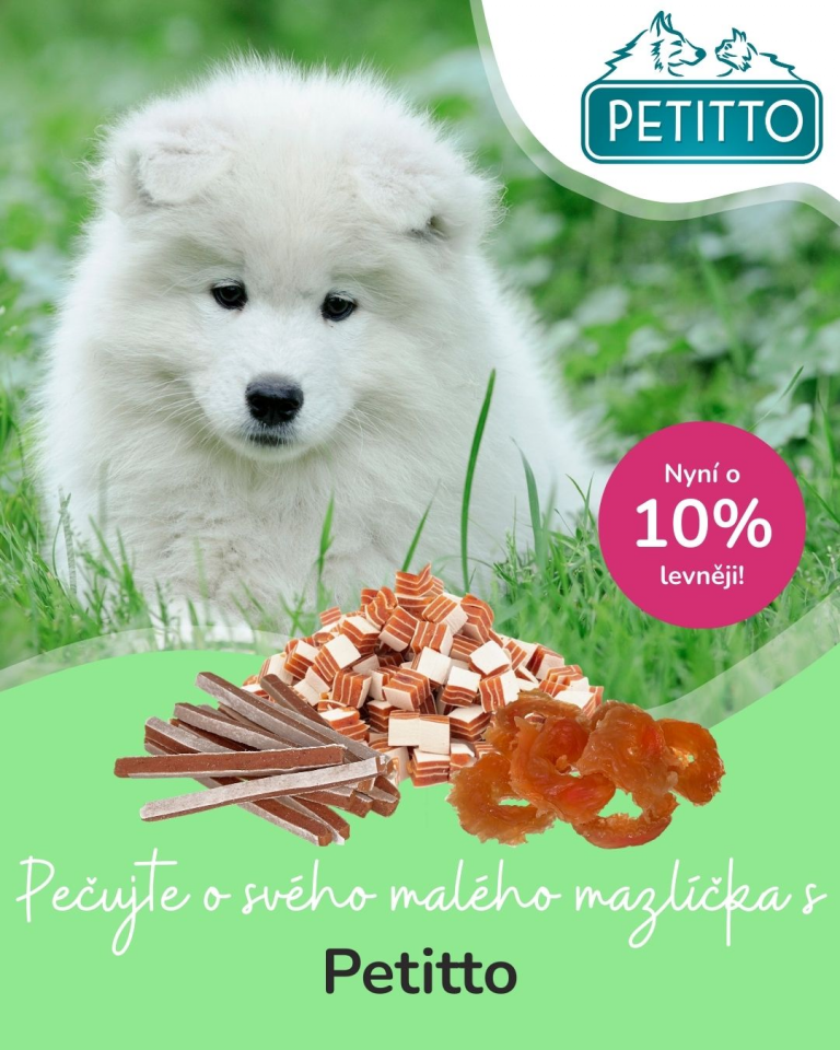 [Oferta specjalna] Szczenięta i kocięta Petitto