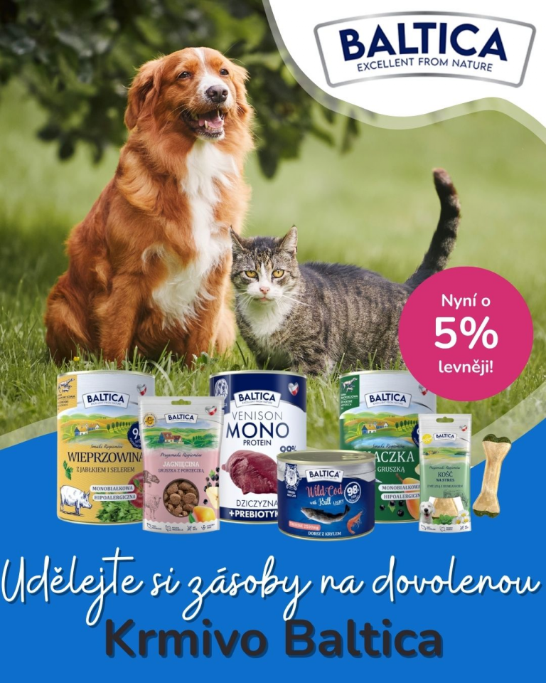 [OFERTA SPECJALNA] Czerwiec baltica
