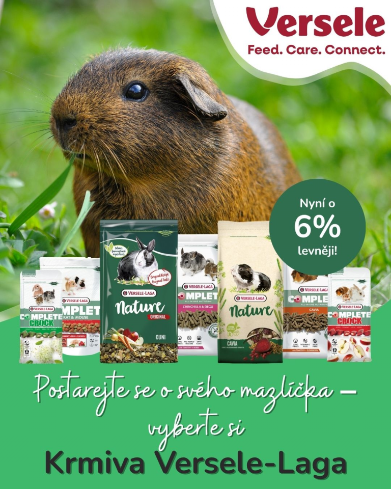 [OFERTA SPECJALNA] Lipiec Versele-Laga