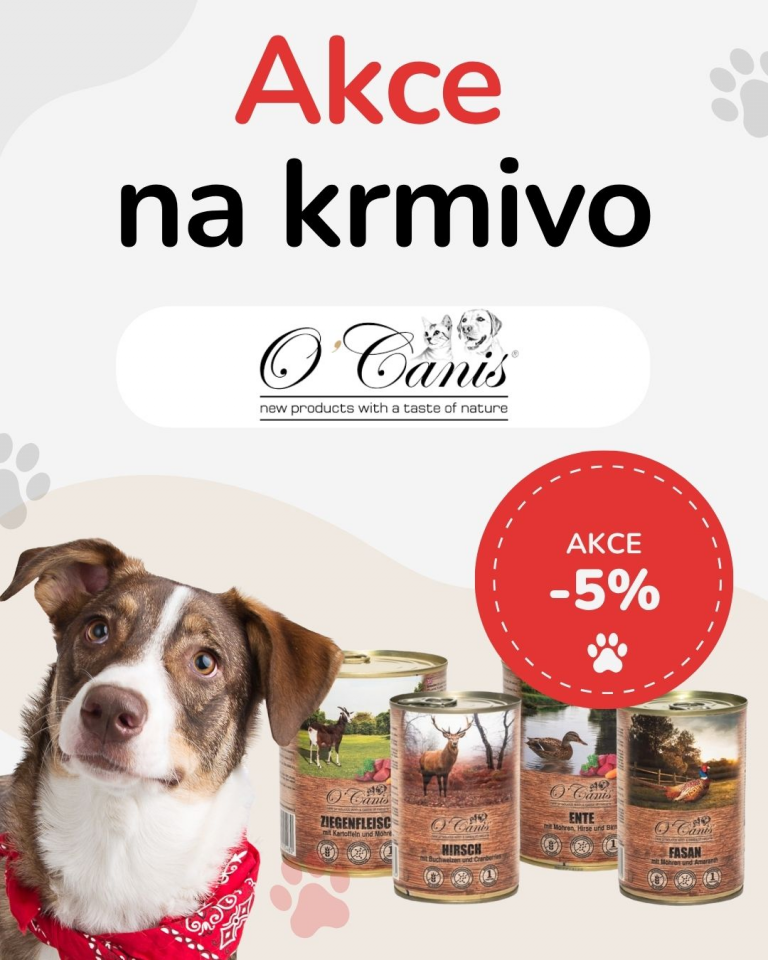OFERTA SPECJALNA Sierpień 