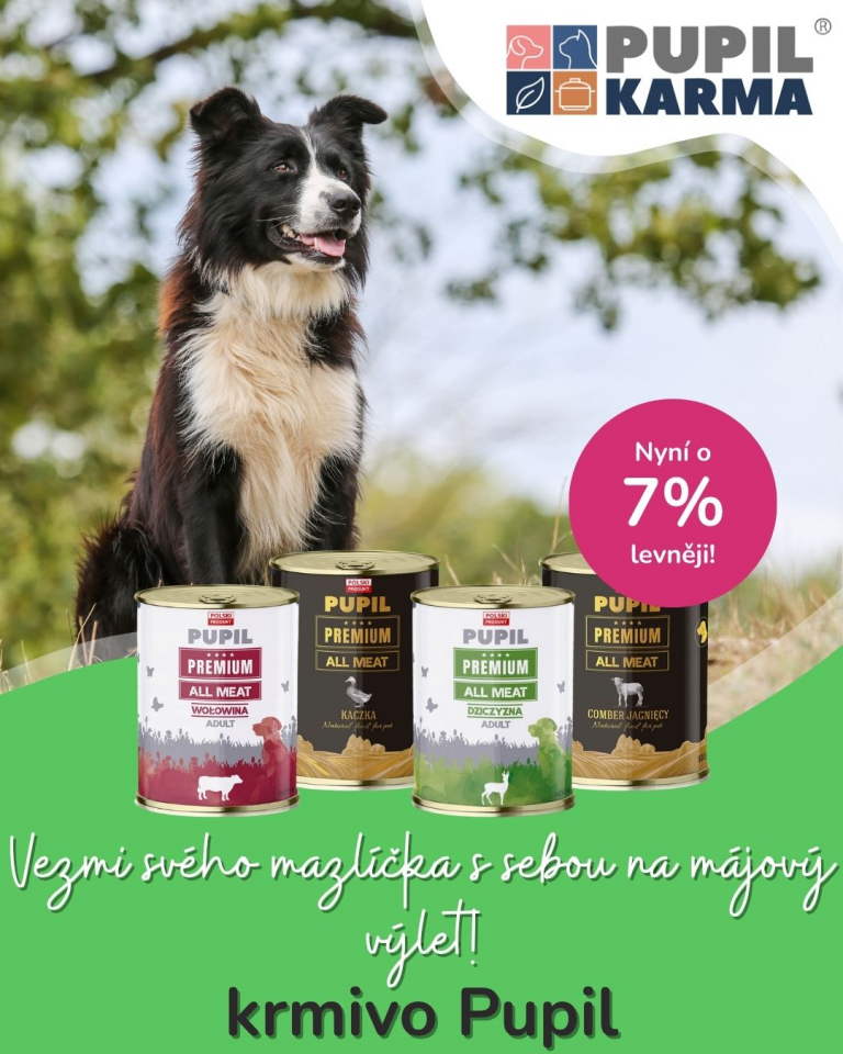 [OFERTA SPECJALNA] Majówka z pupilem