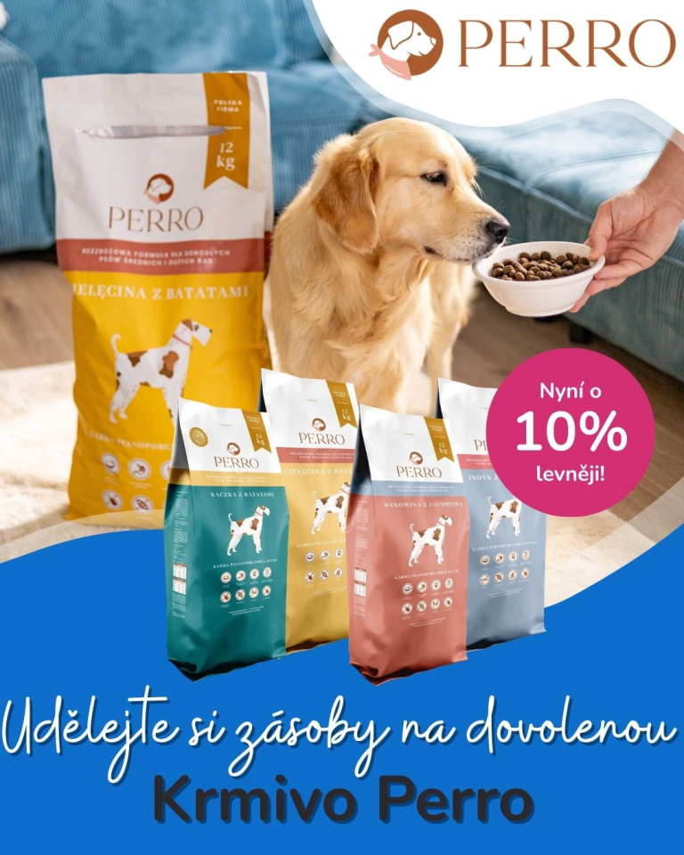 [OFERTA SPECJALNA] Czerwiec Perro