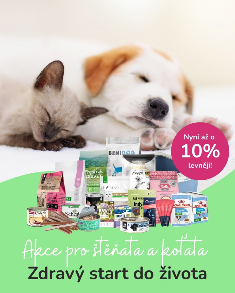 [Oferta specjalna] Szczenięta i kocięta