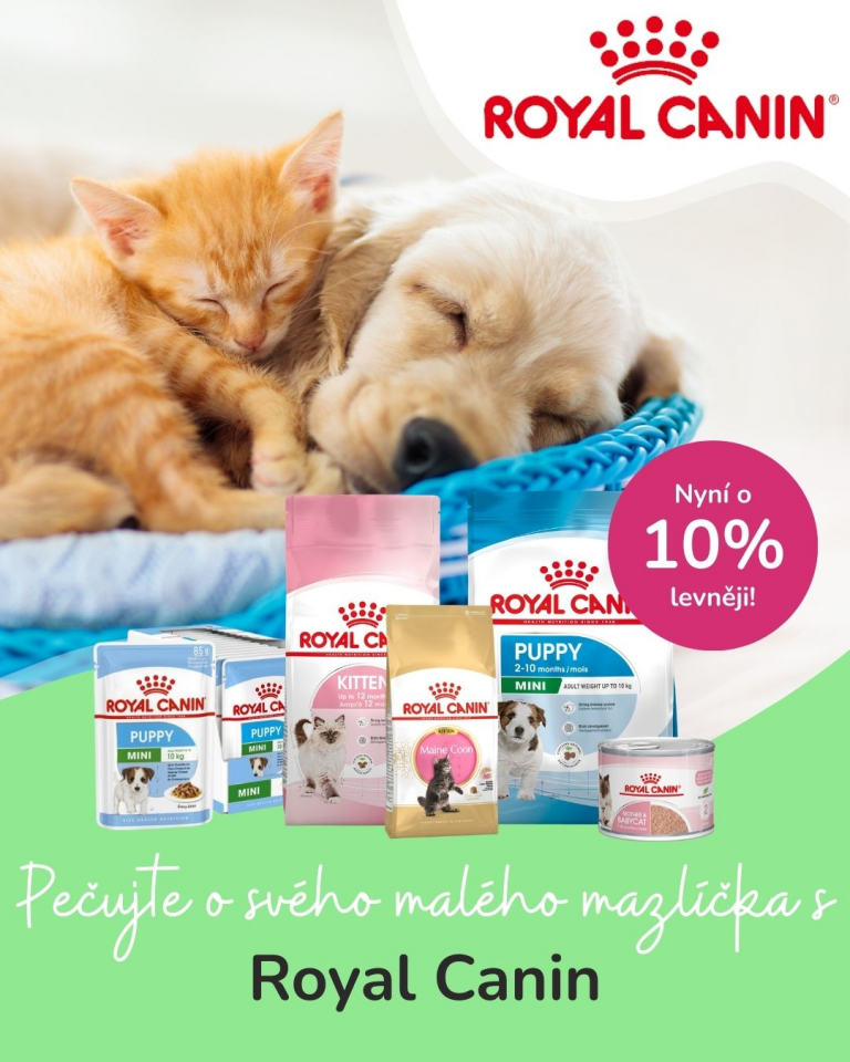 [Oferta specjalna] Szczenięta i kocięta Royal Canin