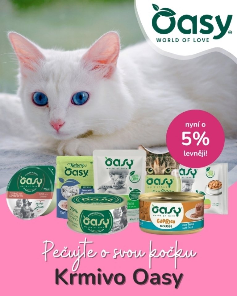 [OFERTA SPECJALNA] Lipiec - Oasy