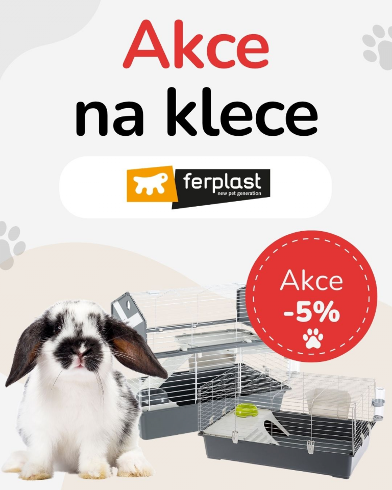 [OFERTA SPECJALNA] Wrzesień - Ferplast