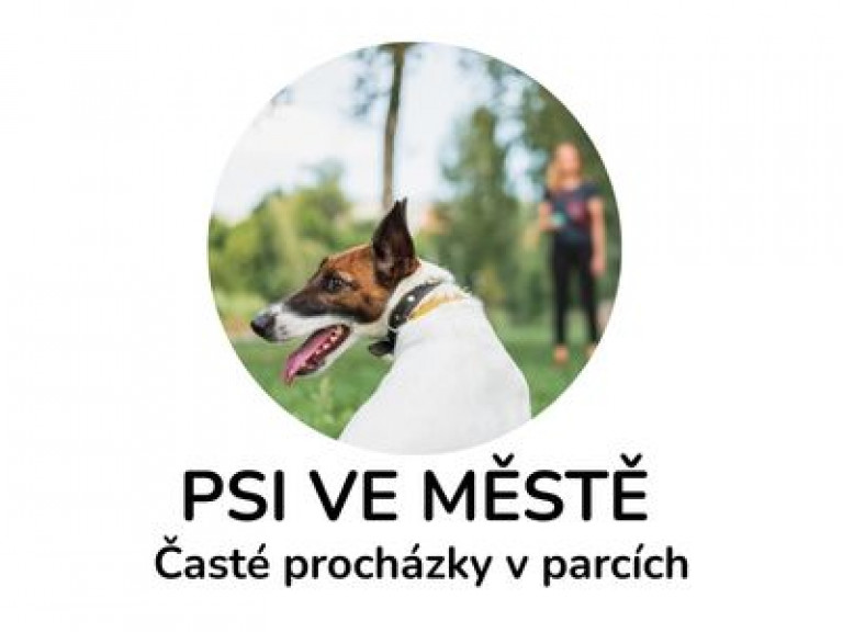 ➡ doporučení: kapky nebo tablety