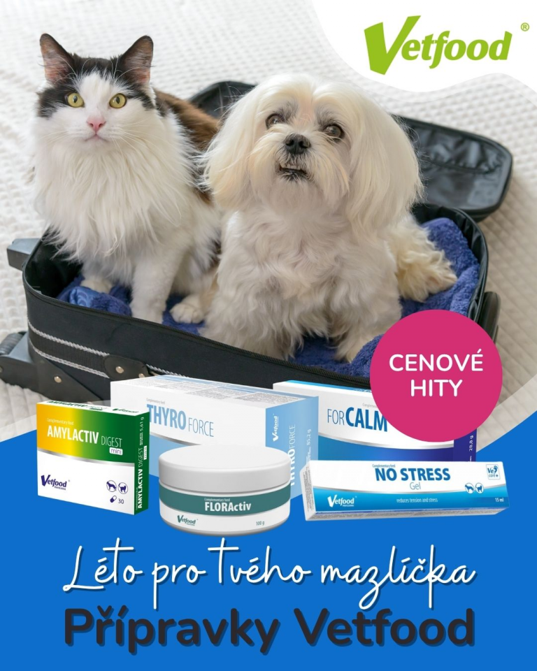 [OFERTA SPECJALNA] Lipiec