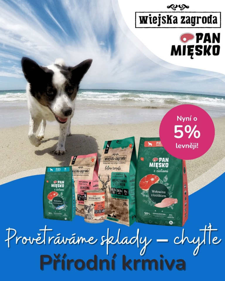 [OFERTA SPECJALNA] Lipiec letnie wyprzedaże 