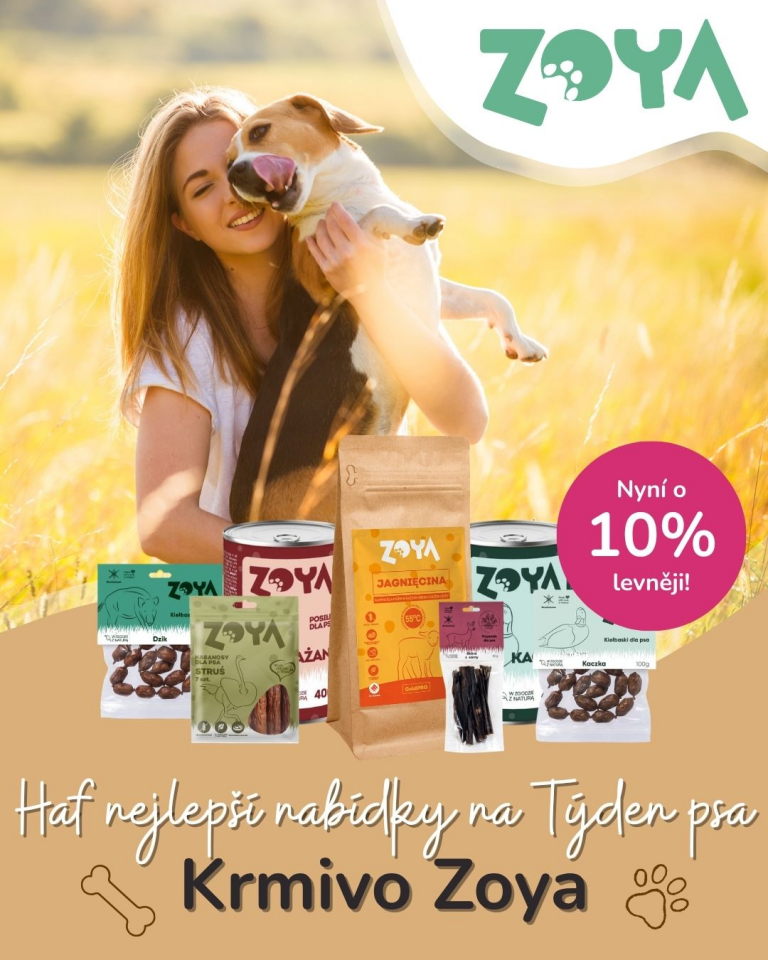 [OFERTA SPECJALNA] Czerwiec - Zoya