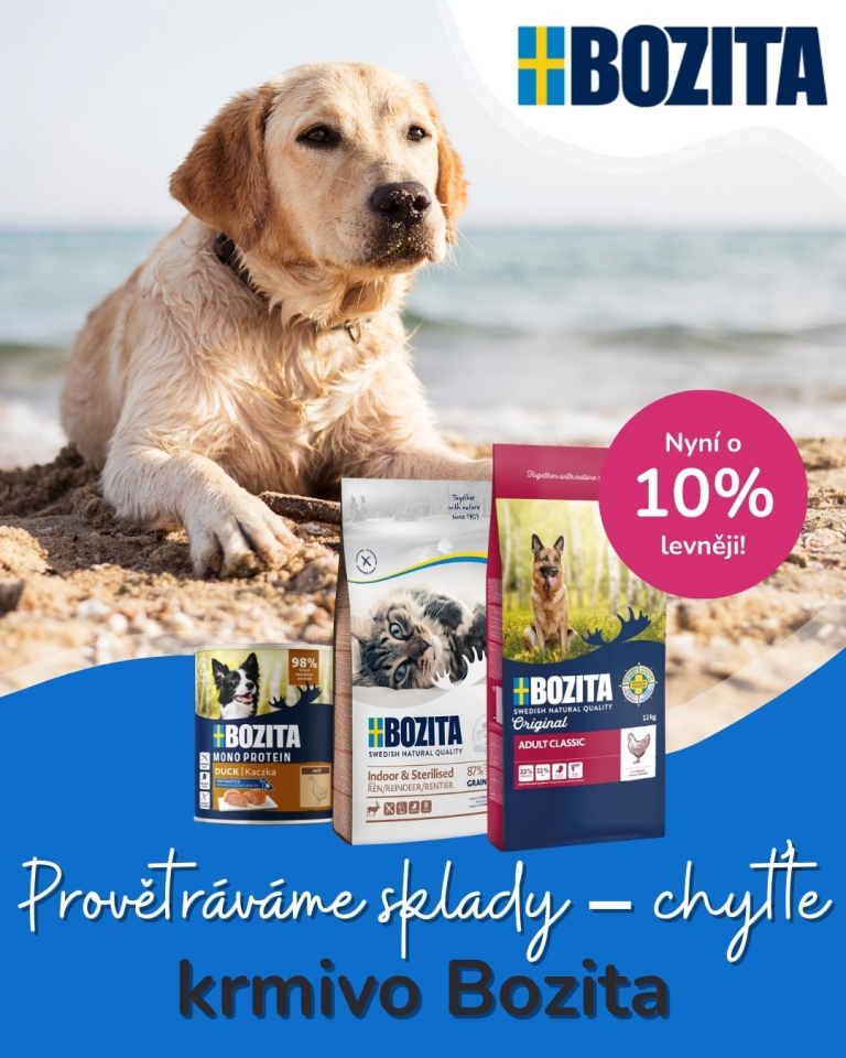 [OFERTA SPECJALNA] Lipiec letnie wyprzedaże 