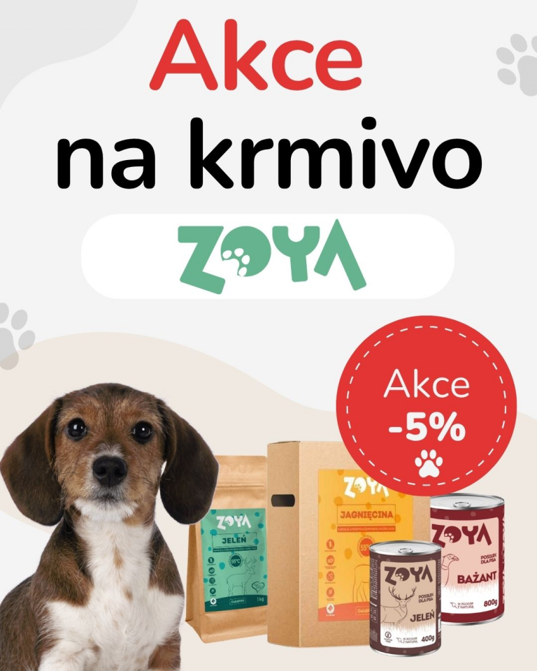 [OFERTA SPECJALNA] Wrzesień - Zoya