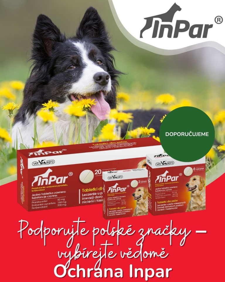 [OFERTA SPECJALNA] Maj Polskie marki