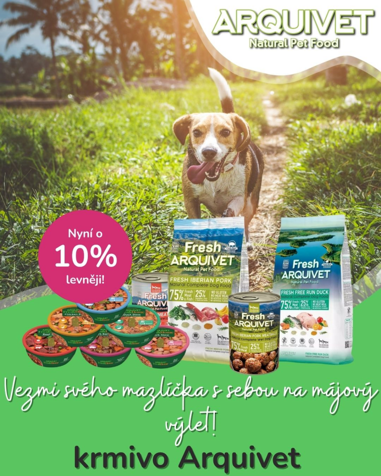 [OFERTA SPECJALNA] Majówka