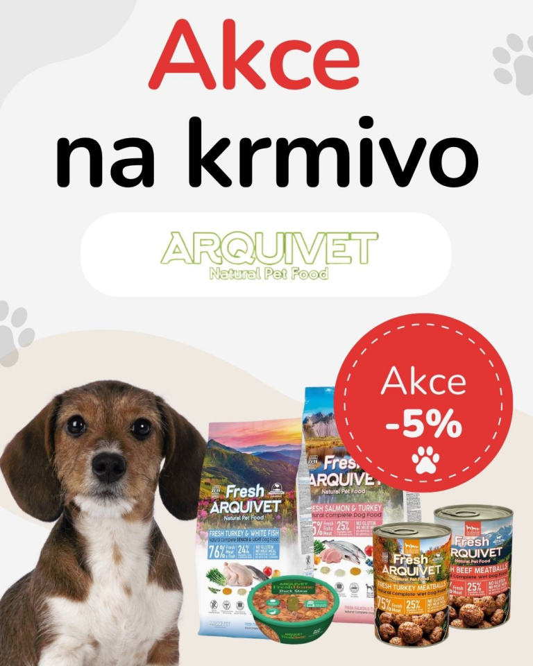 [OFERTA SPECJALNA] Wrzesień - Arquivet