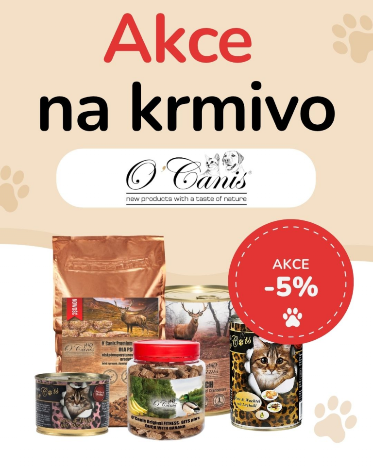 [OFERTA SPECJALNA] Październik - O'Canis